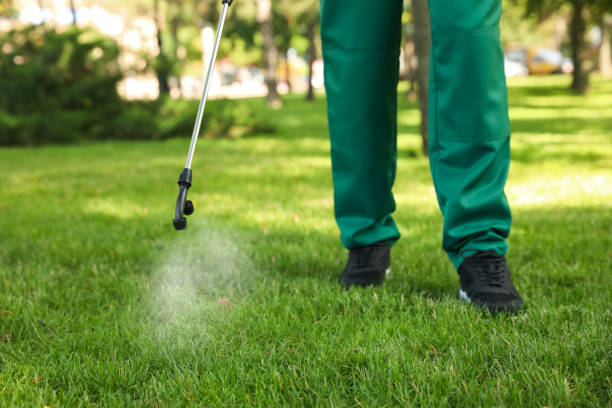 Best Residential Pest Control  in Herndon, VA