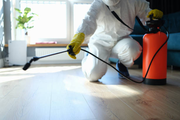 Flea Control Services in Herndon, VA