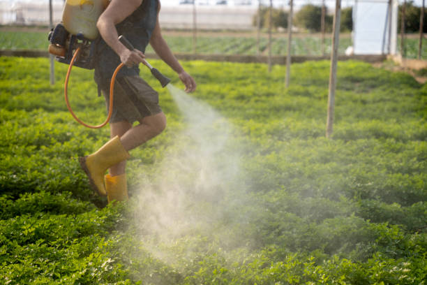 Best Local Pest Control Services  in Herndon, VA