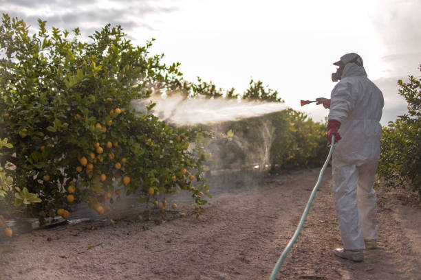 Professional Pest Control in Herndon, VA