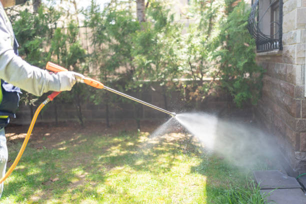 Best Ant Control Services  in Herndon, VA