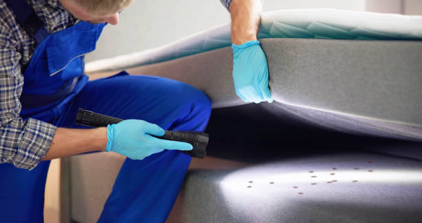 Best Termite Control Services  in Herndon, VA