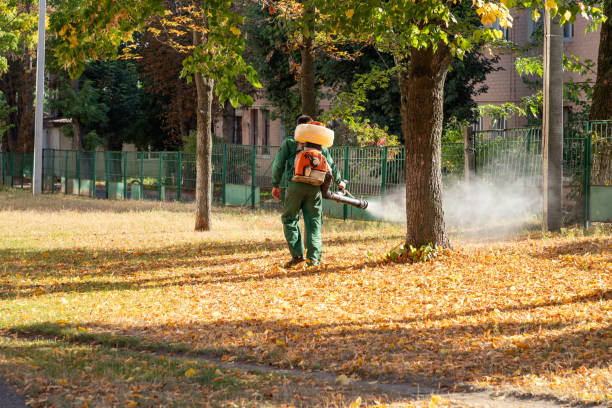 Best Commercial Pest Control Services  in Herndon, VA