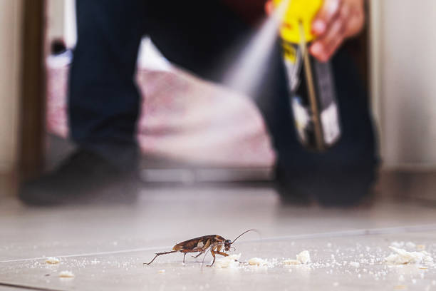 Best Pest Inspection Near Me  in Herndon, VA