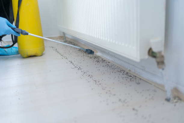 Best Pest Removal Services  in Herndon, VA