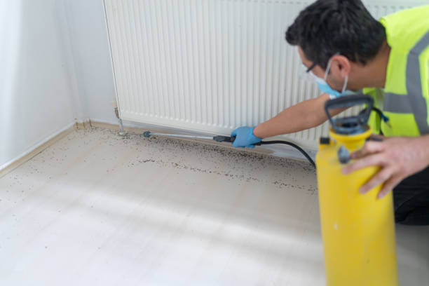 Best Pest Control Near Me  in Herndon, VA